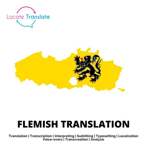 translate flemish to english google.